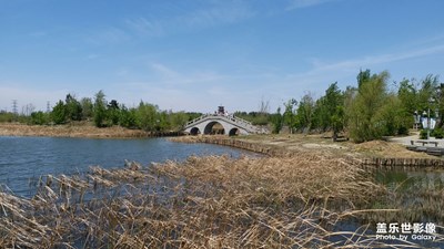 公園漫步