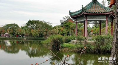 隨手拍