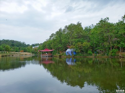 【異鄉(xiāng)】+異鄉(xiāng)的風(fēng)景