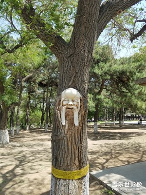 長(zhǎng)春動(dòng)植物公園