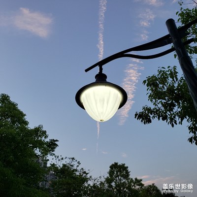 【公園】