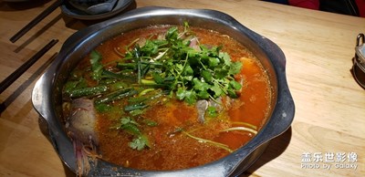 凱里酸湯魚