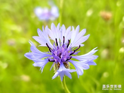 s10隨拍，相機(jī)有感