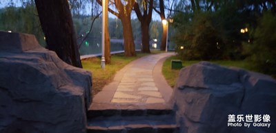 拱橋，柳樹，小路，