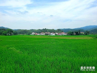 江西某農村    真 山青水秀