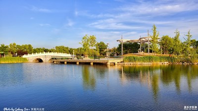 GalaxyS10+初夏記憶（一）