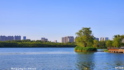 GalaxyS10+【尋美之路】+我走在這里