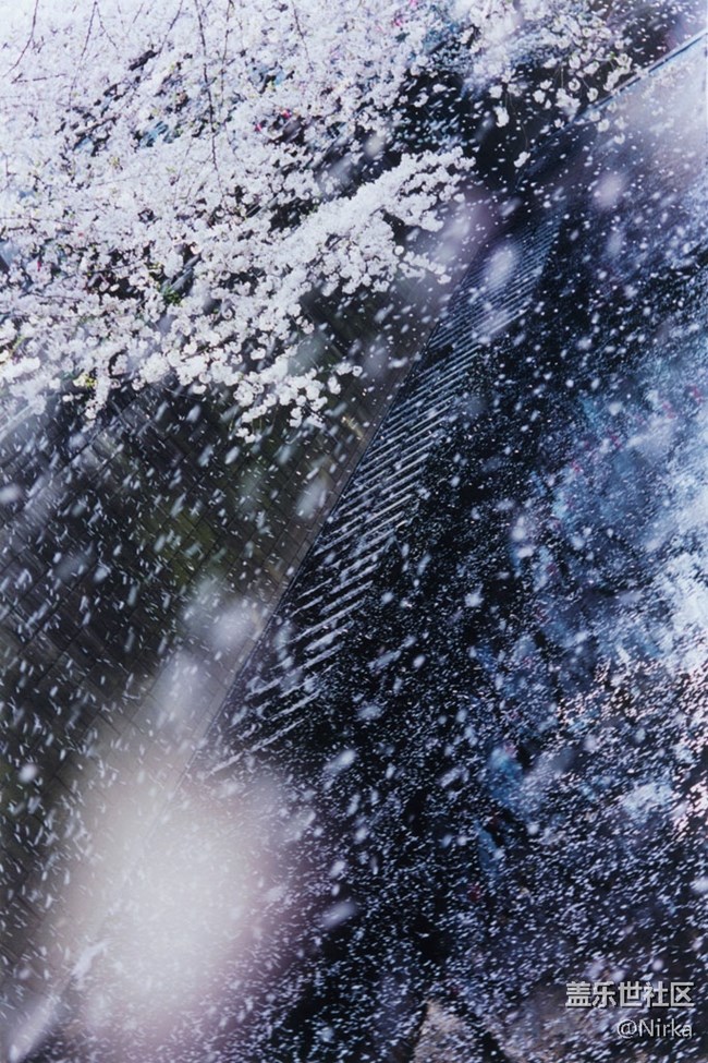 漂亮的蜷川實花作品壁紙，現(xiàn)已打包上傳