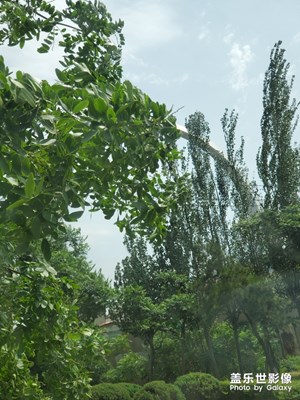 撫順中環(huán)