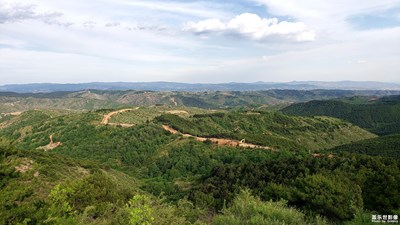 端午節(jié)隨拍的一些山區(qū)的風(fēng)景