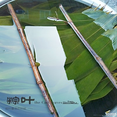 【端午風(fēng)情】+包粽子