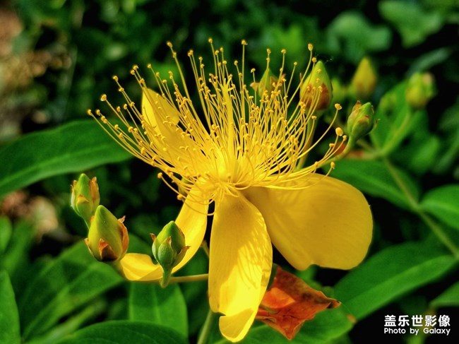 【每周精帖匯151】祝各位爸爸父親節(jié)快樂 身體安康