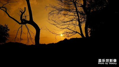 夕陽紅