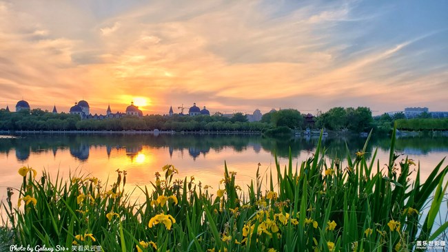 【每周精帖匯151】祝各位爸爸父親節(jié)快樂 身體安康