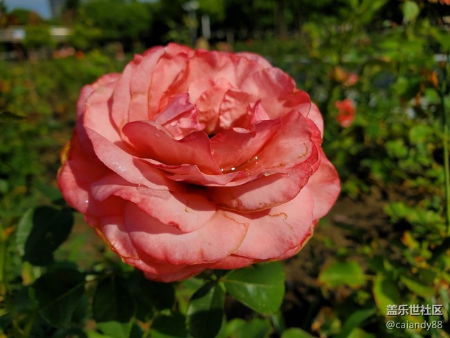 【Galaxy S10系列星粉體驗(yàn)活動(dòng)】這個(gè)時(shí)代，最好的十代