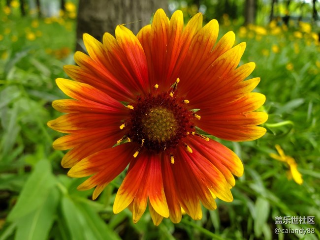 【Galaxy S10系列星粉體驗(yàn)活動(dòng)】這個(gè)時(shí)代，最好的十代