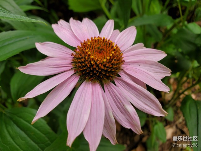 【Galaxy S10系列星粉體驗(yàn)活動(dòng)】這個(gè)時(shí)代，最好的十代