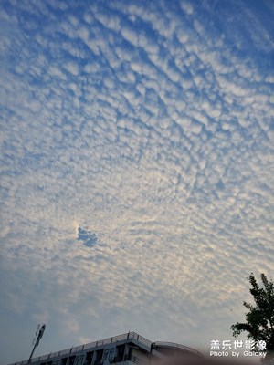 夕陽