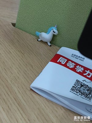 鴨!這是誰(shuí)的獨(dú)角獸鴨?臟了捏～