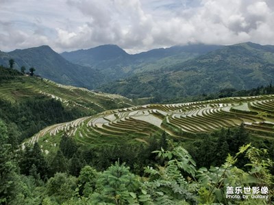 茂蘭加榜梯田