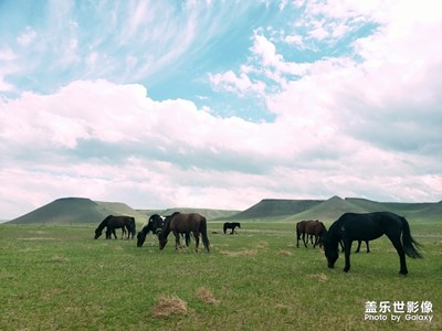 【走進(jìn)夏天】+草原火山牧場