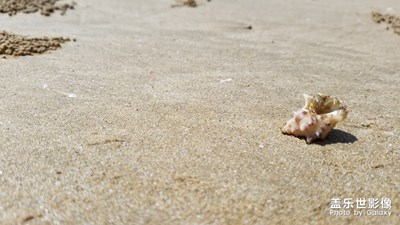 【走進(jìn)夏天】+很有夏天的感覺(jué)