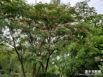 【走進(jìn)夏天】+夏日隨手拍