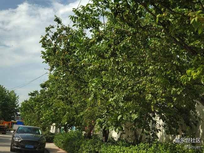 溫度很熱，但是天很藍(lán)！