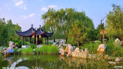 GalaxyS10+ 故園之戀（一）