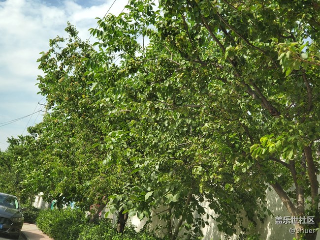 溫度很熱，但是天很藍(lán)！