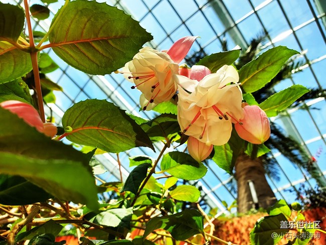 小石頭與Galaxy S10的旅行日記 Day 3~4