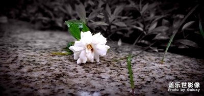 雨天