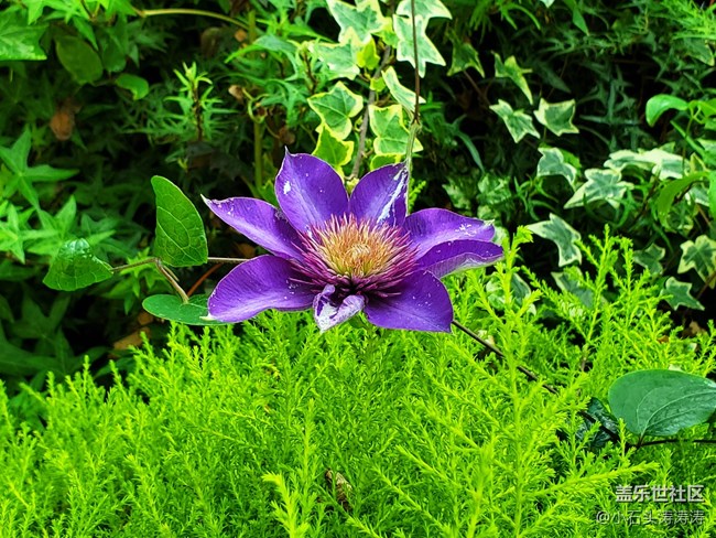 小石頭與Galaxy S10的旅行日記 Day 3~4