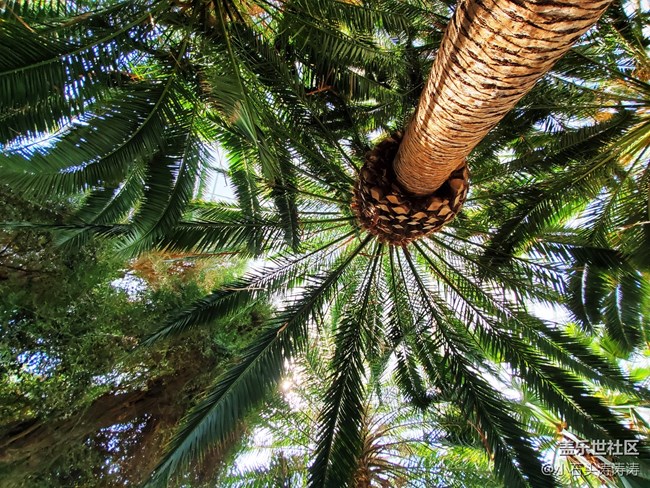 小石頭與Galaxy S10的旅行日記 Day 3~4