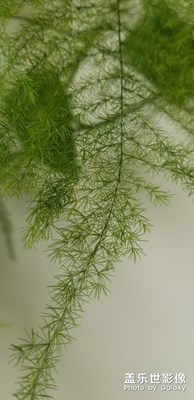 夏至