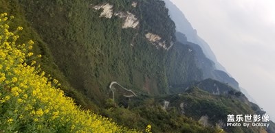 雖然已經(jīng)過了油菜花的季節(jié)，但是還是分享給大家