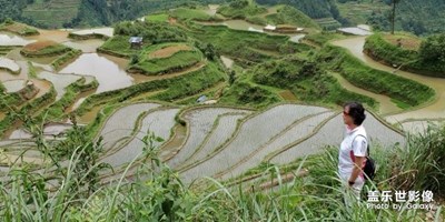 身臨其境