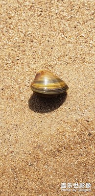 小沙灘