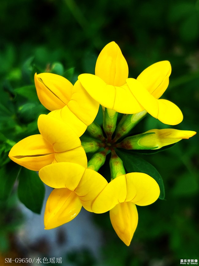 【每周精帖匯152】三星5G 遠(yuǎn)見(jiàn)·未來(lái)