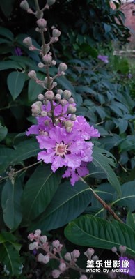 走進(jìn)夏天
