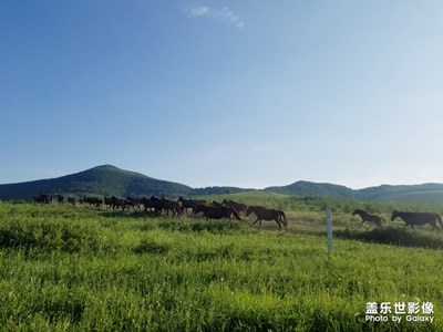 【走進夏天】+草原天路夏日風景畫