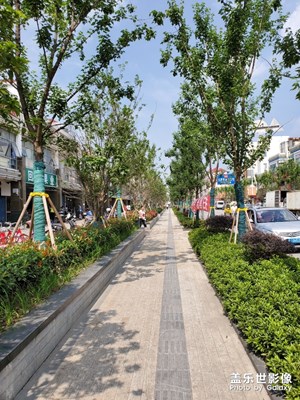隨拍