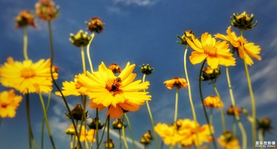 【走進(jìn)夏天】+農(nóng)家樂