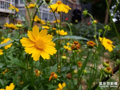 小區(qū)里的小可愛