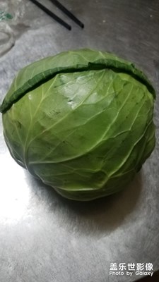 最近拍的