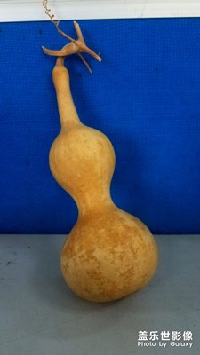 大葫蘆