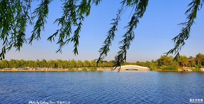 Galaxy S10+ 初夏記憶（三）