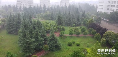 下雨天的我的大學