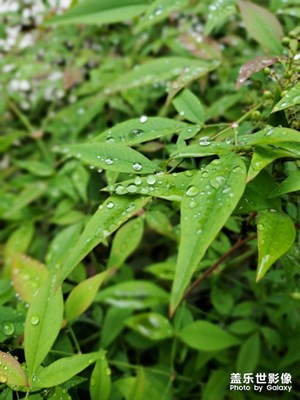 一天了雨還沒干