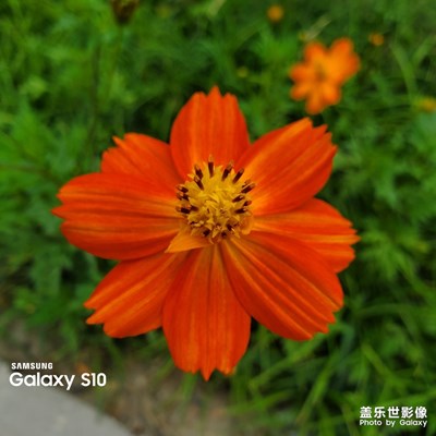 一組隨手拍，記錄大自然的美